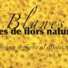 Alfombras de flores, Blanes